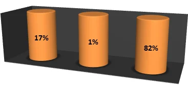 Можете ли Вы обойтись без интернета?