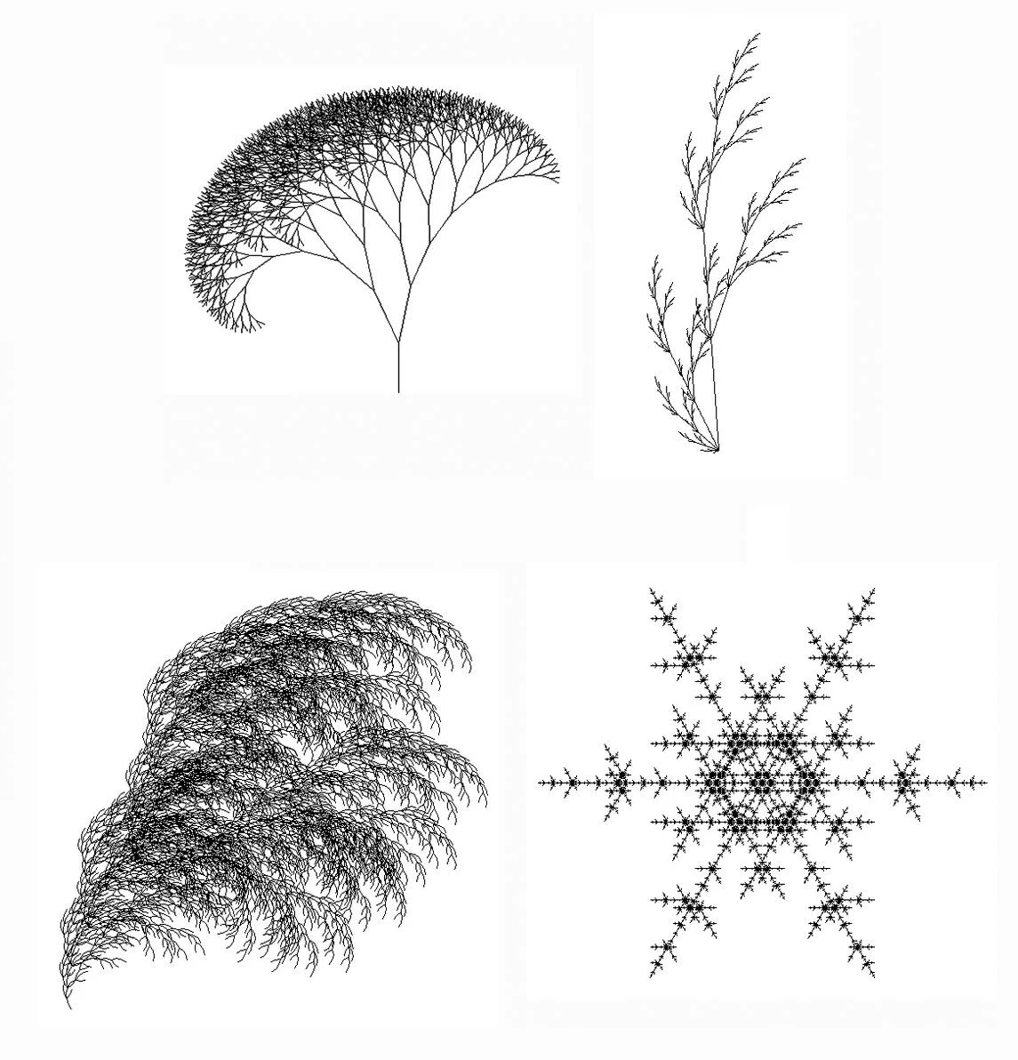 Демонстрация результатов работы L-систем