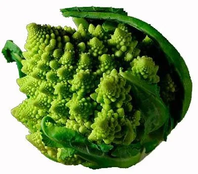 Цветная капуста Романеско — естественный фрактал