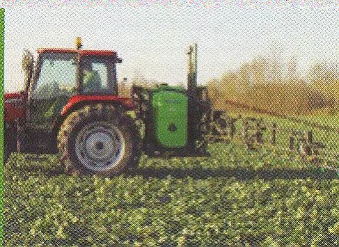 Фирма «Технома».