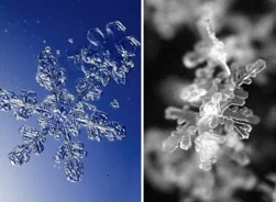 Фрактальные снежинки