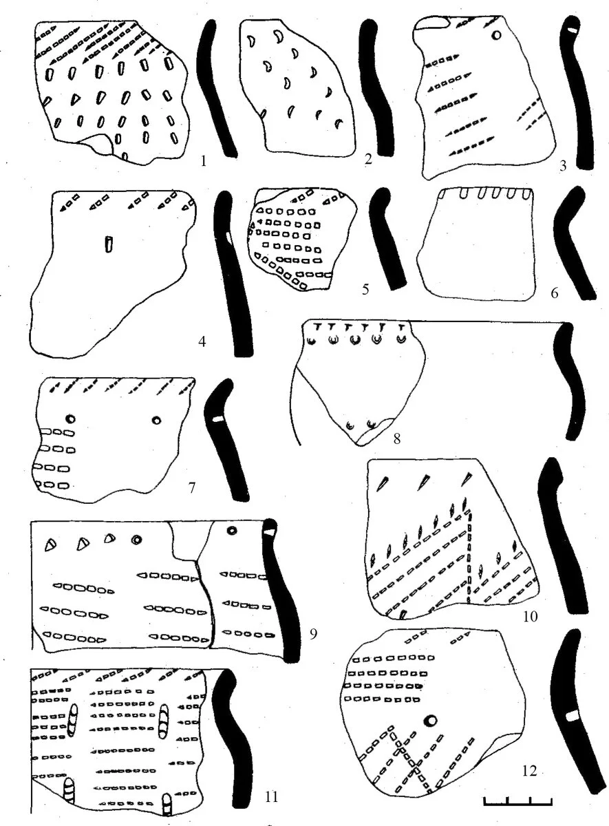 Аким-сергеевская керамика с поселений Ерня (1-2), Целибуха (3-6), Терновка (7), Пензенские (8-12).