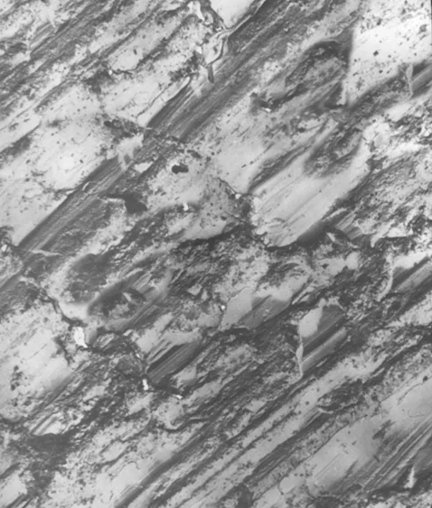 Фотографии поверхностей металлического вкладыша после трения с увеличением х2000: смазочная композиция №5